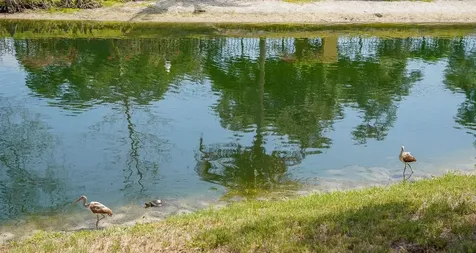 176 Coquina Bay Dr Drive St Petersburg FL 33705