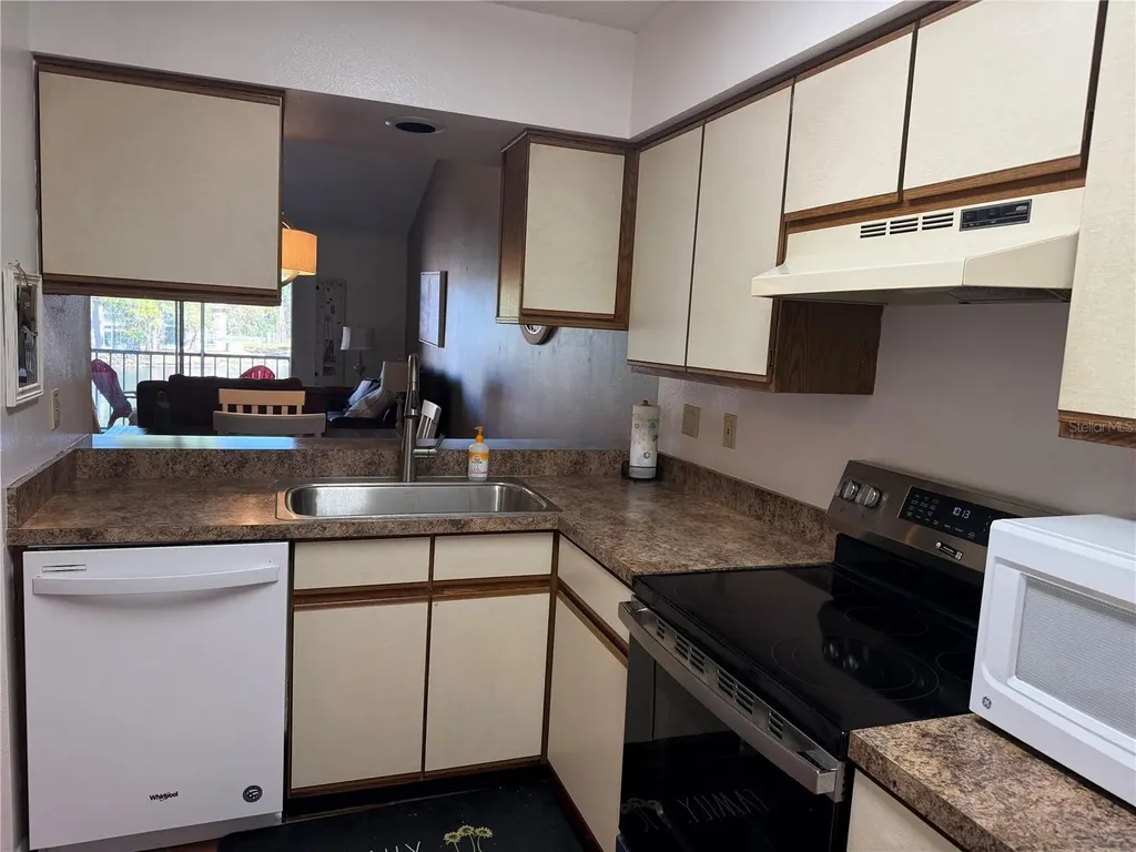 6519 Spring Flower Drive New Port Richey FL 34653