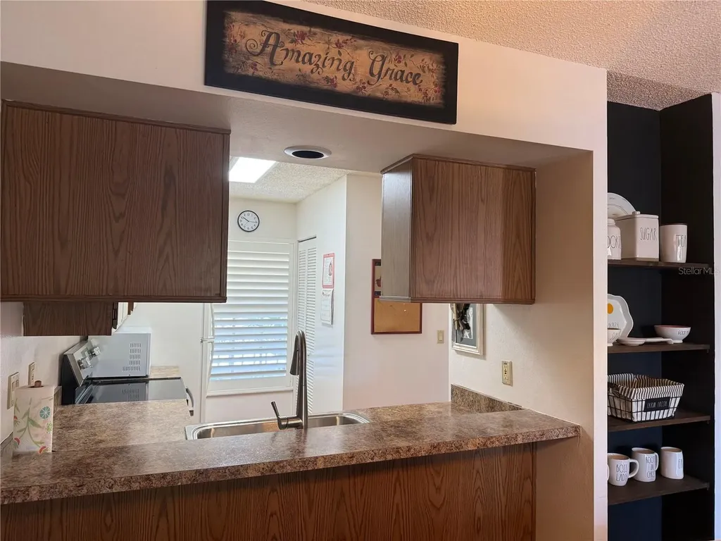 6519 Spring Flower Drive New Port Richey FL 34653
