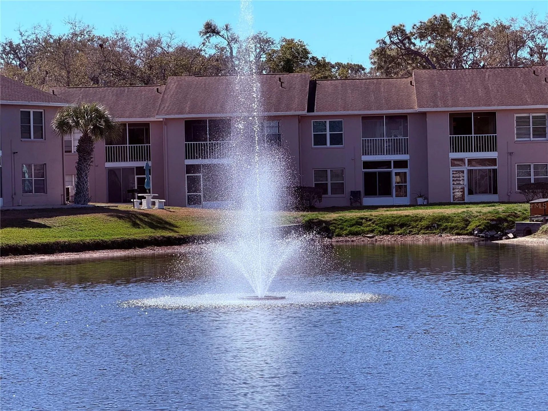6519 Spring Flower Drive New Port Richey FL 34653