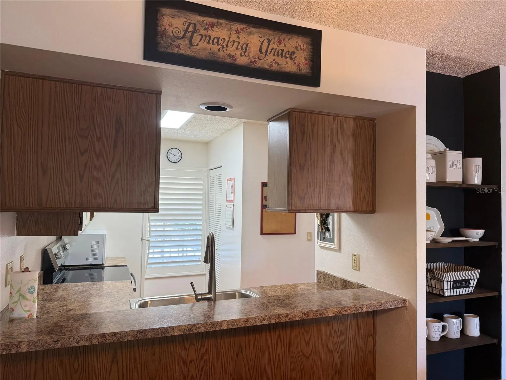 6519 Spring Flower Drive New Port Richey FL 34653