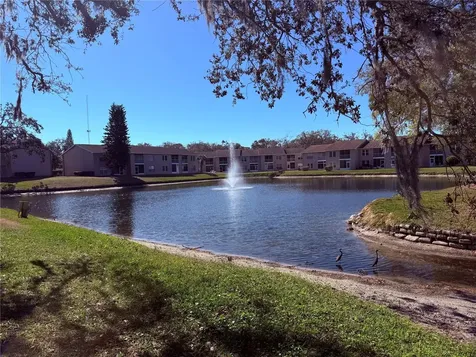 6519 Spring Flower Drive New Port Richey FL 34653
