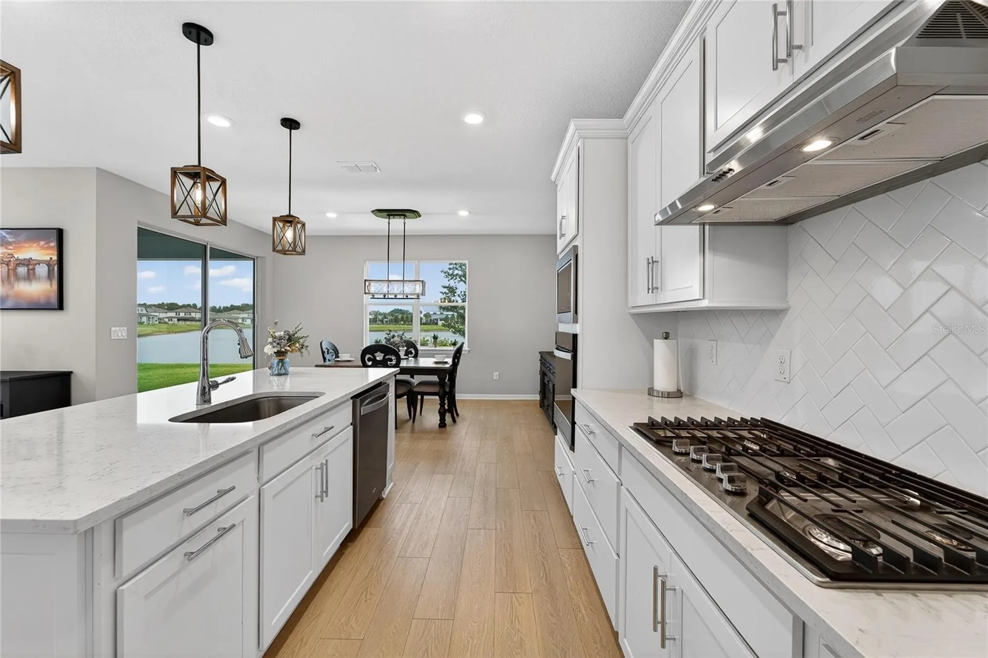 3899 Ivy Springs Lane Land O Lakes FL 34638