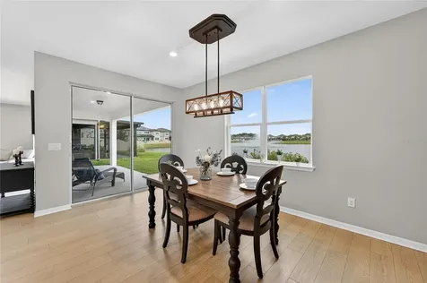3899 Ivy Springs Lane Land O Lakes FL 34638