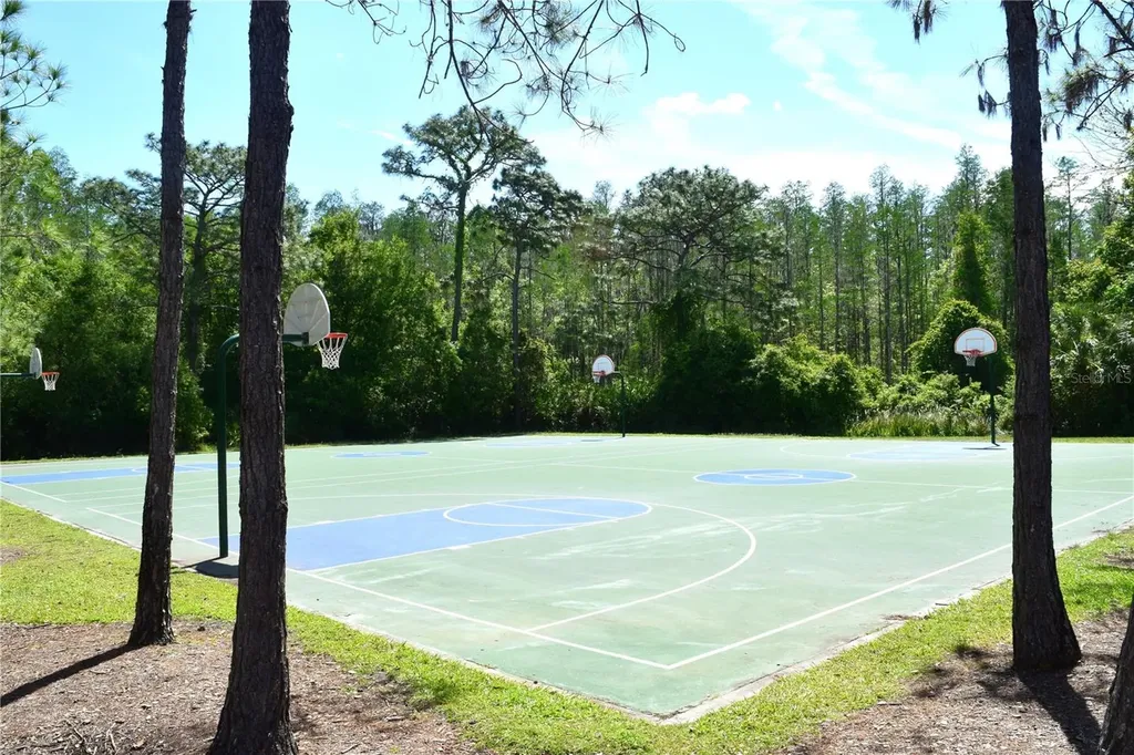 1112 Hillhurst Drive Wesley Chapel FL 33543