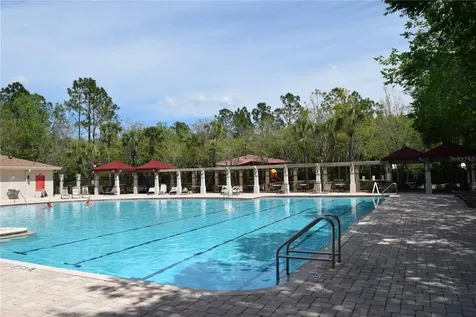 1112 Hillhurst Drive Wesley Chapel FL 33543