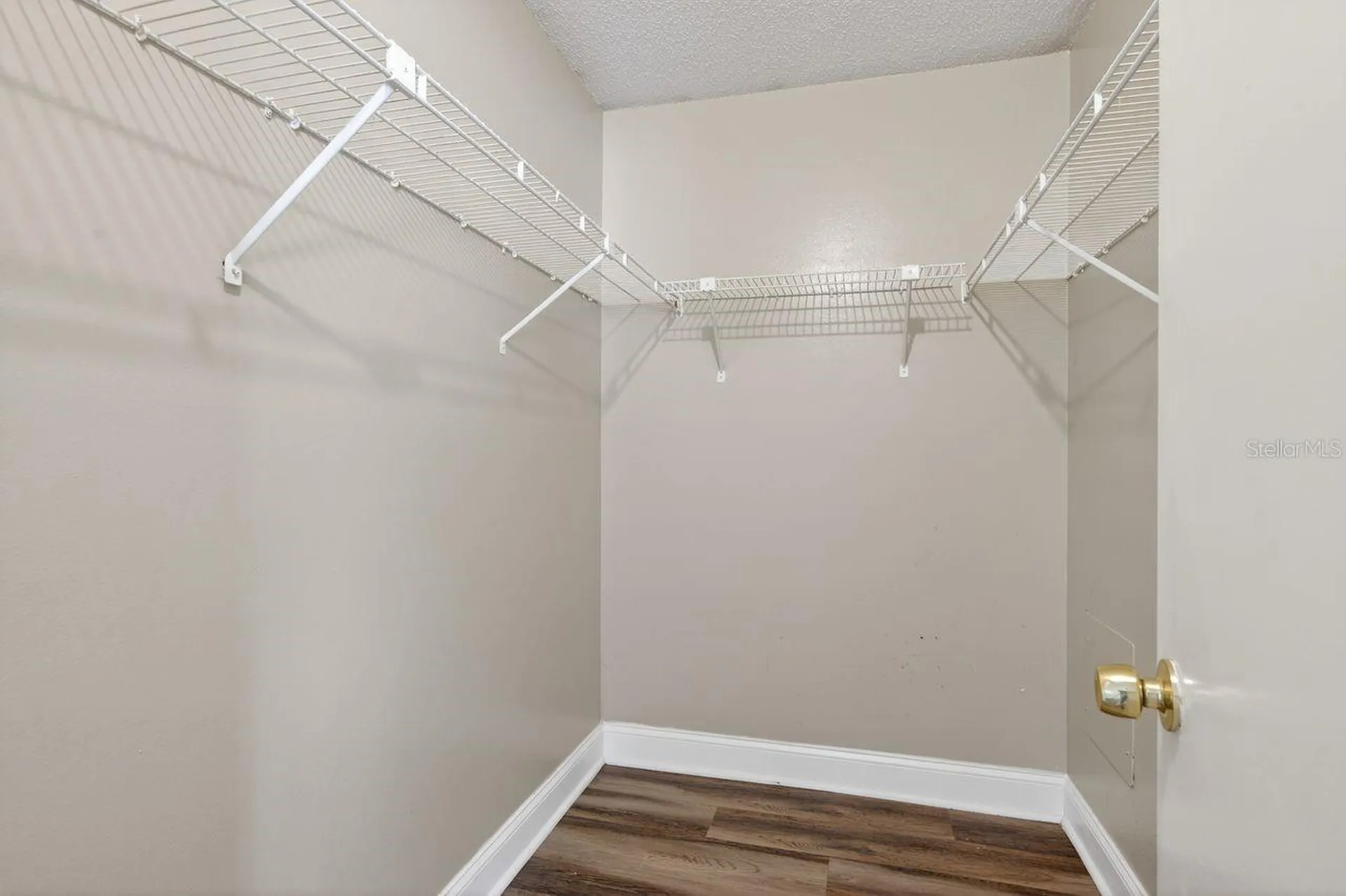 14319 Hanging Moss Circle Tampa FL 33613