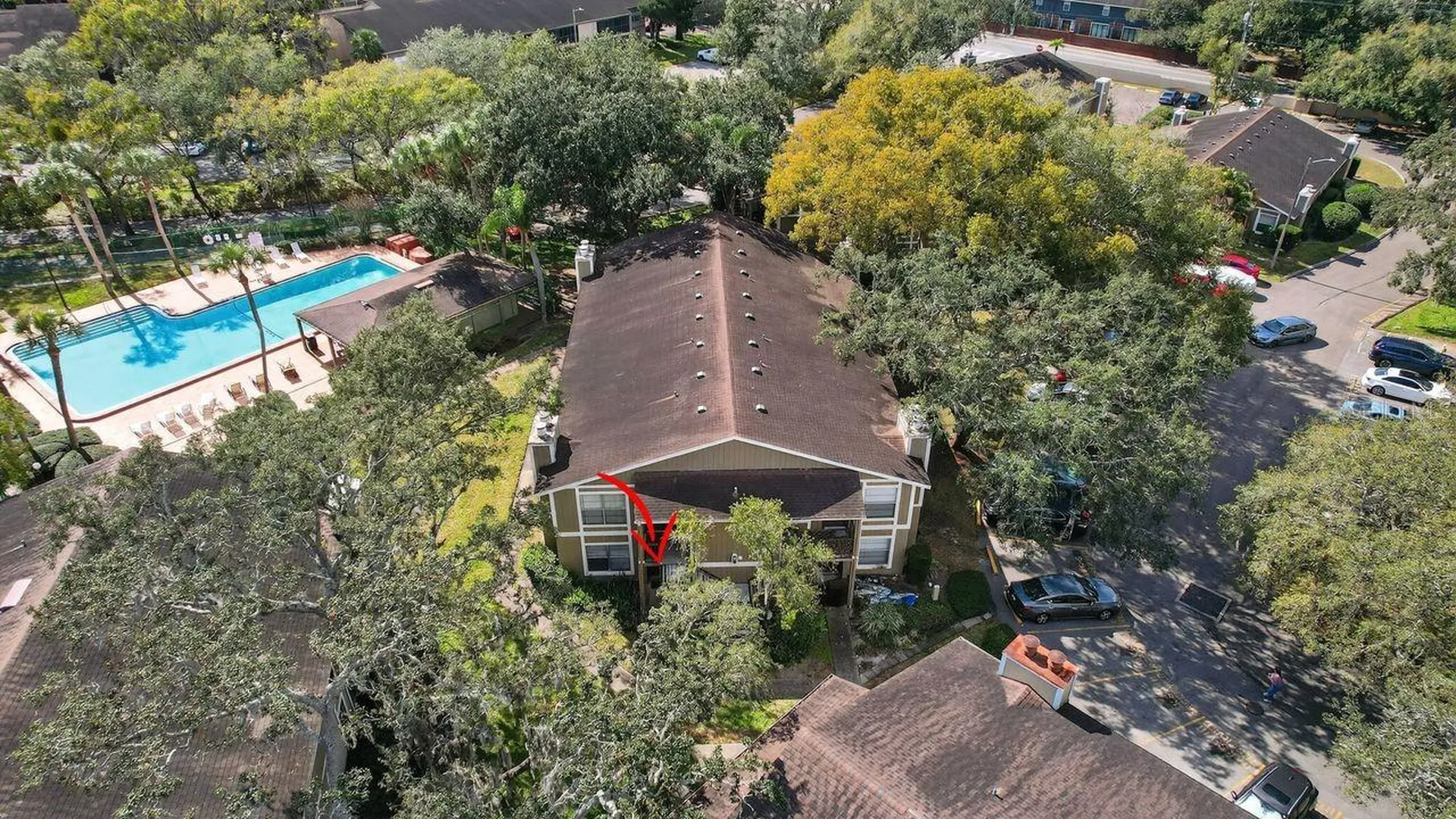 14319 Hanging Moss Circle Tampa FL 33613