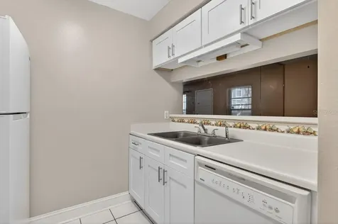 14319 Hanging Moss Circle Tampa FL 33613