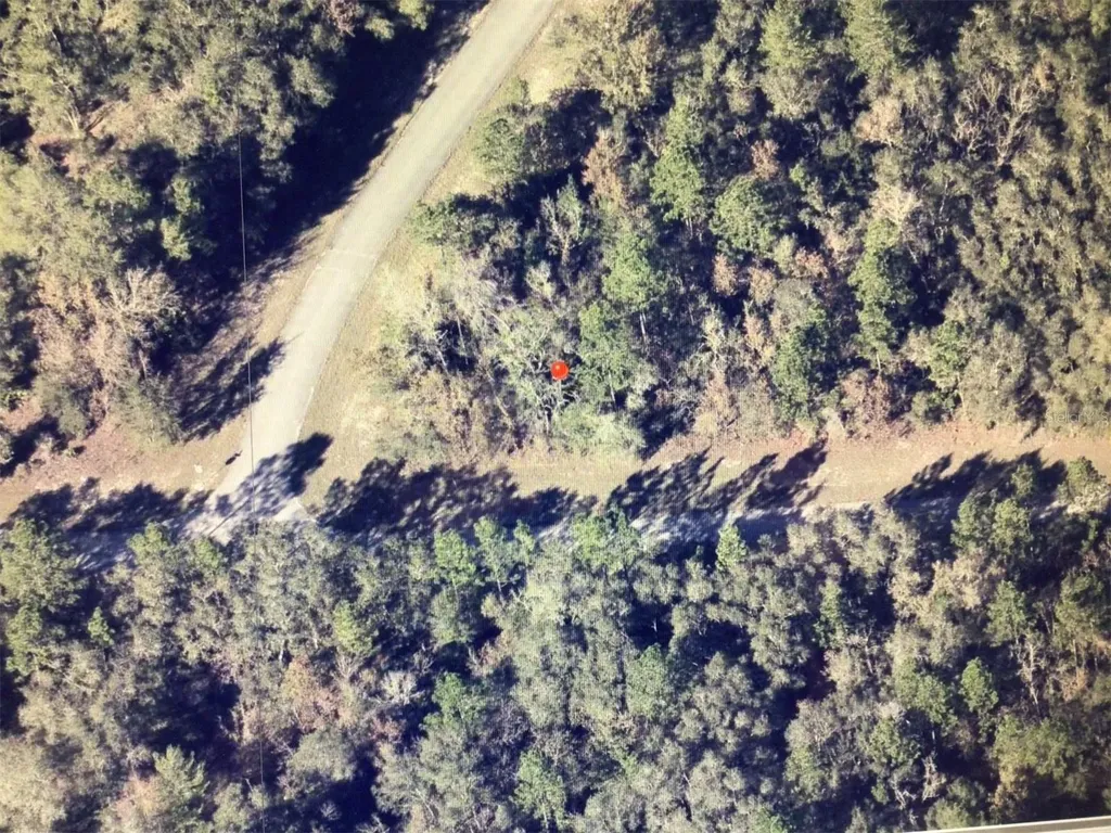 0 SW 145 Place Road Ocala FL 34473