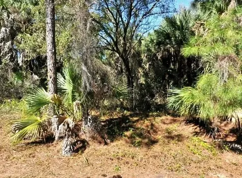 Lot 20 Blk 1749 34th Add To Port Charlotte North Port FL 34288