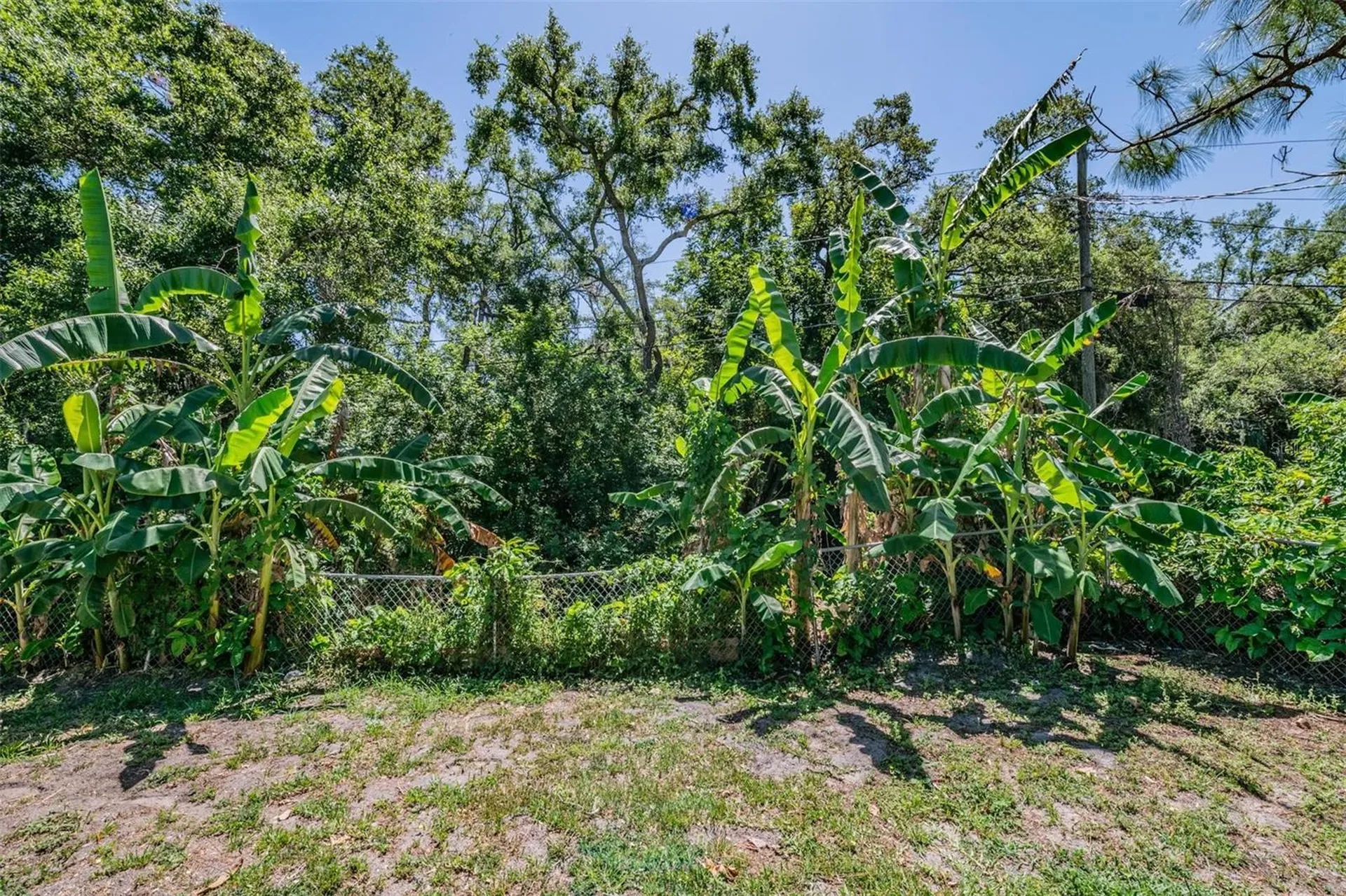 1124 Danny Drive Sarasota FL 34243