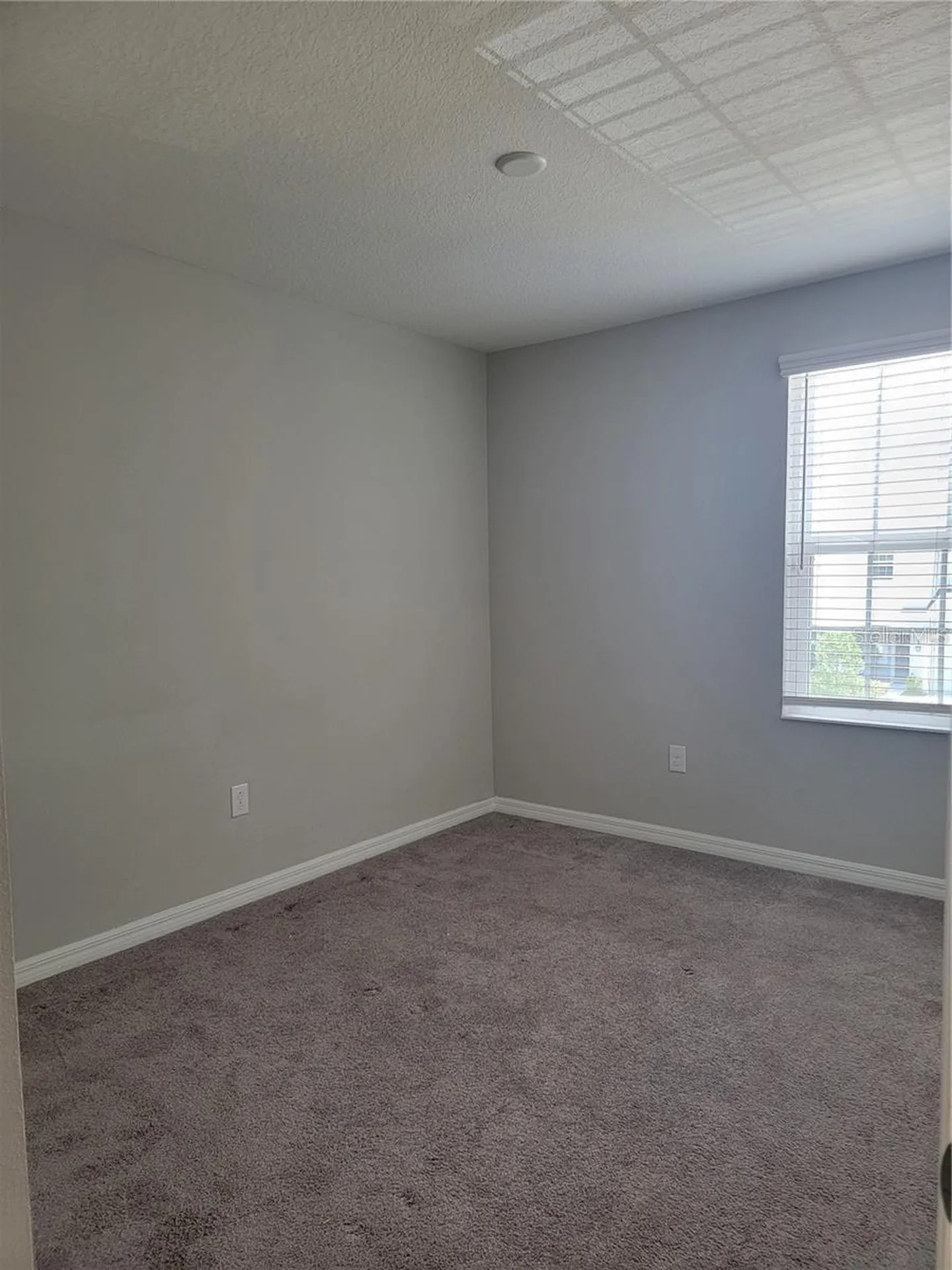 7113 Grand Elm Drive Riverview FL 33578
