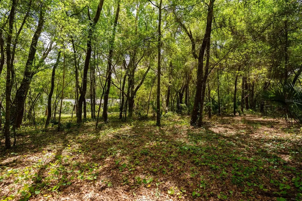 3 Old Post Road Longwood FL 32779