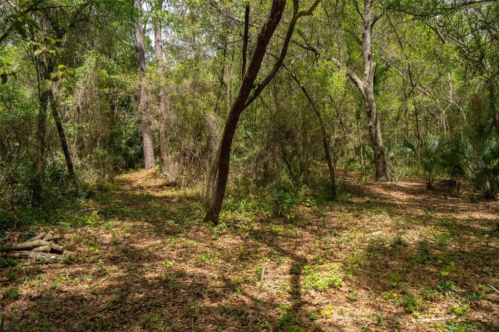 3 Old Post Road Longwood FL 32779