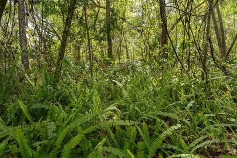 3 Old Post Road Longwood FL 32779