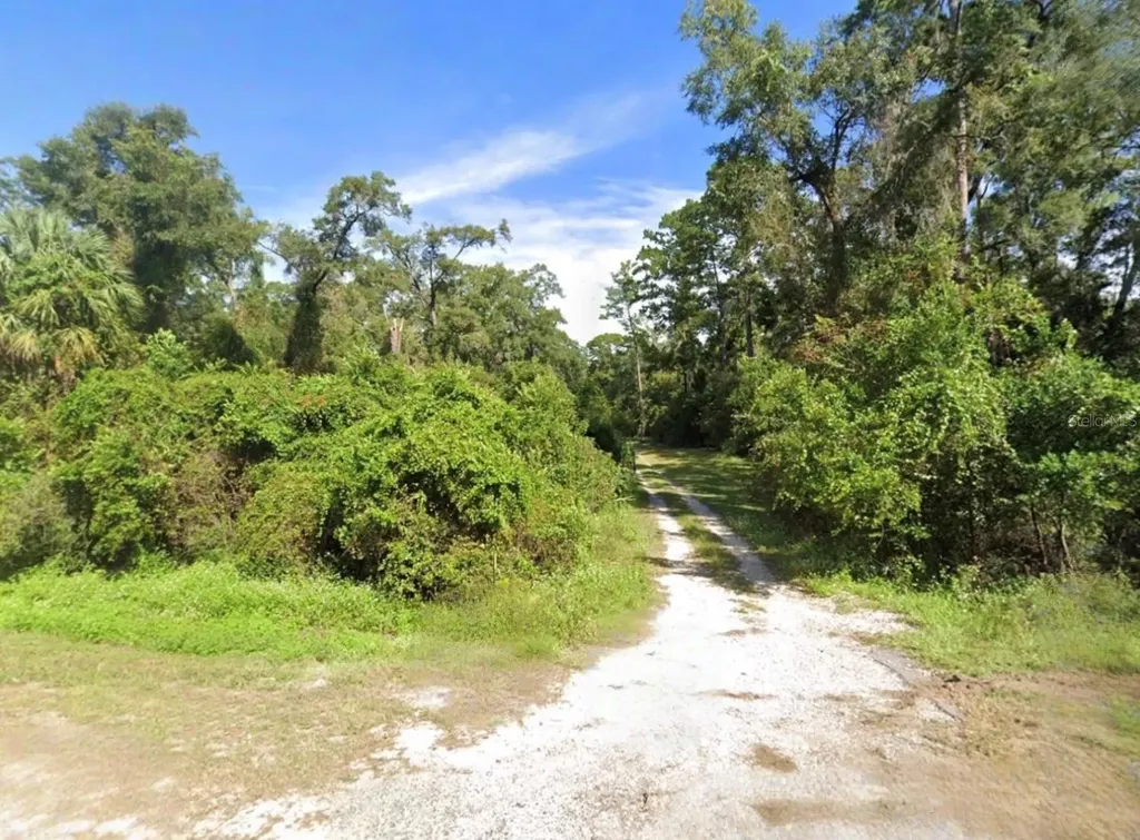 Drive Martin Luther King Jr Road Crawfordville FL 32327