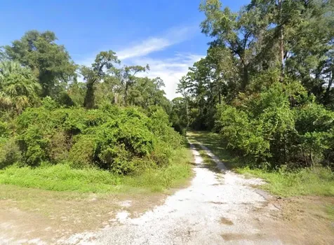 Drive Martin Luther King Jr Road Crawfordville FL 32327