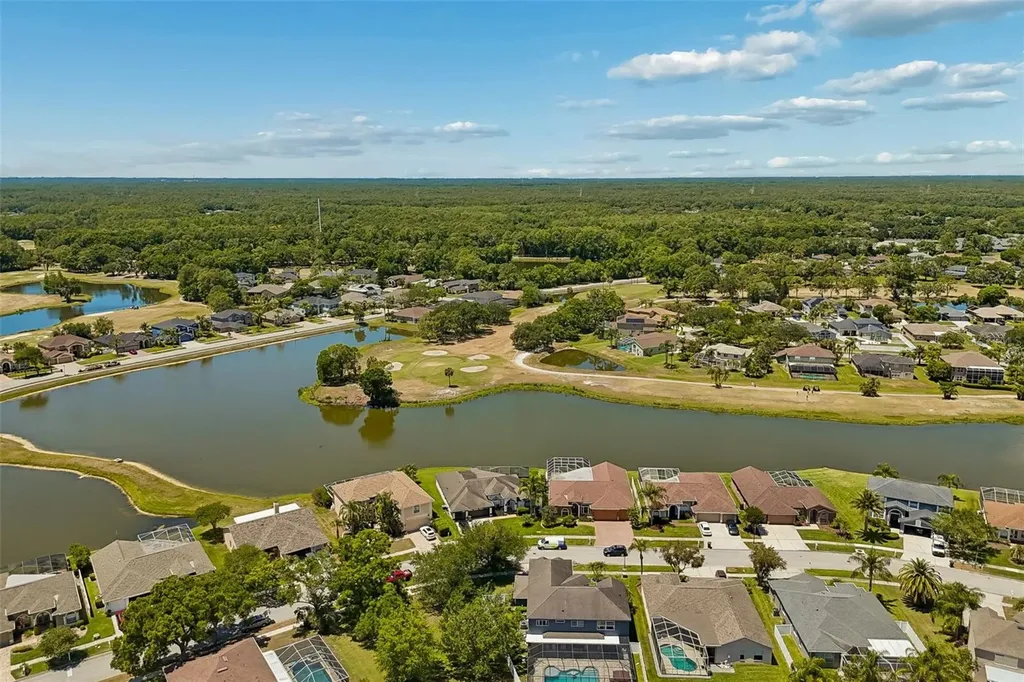 15911 Muirfield Drive Odessa FL 33556