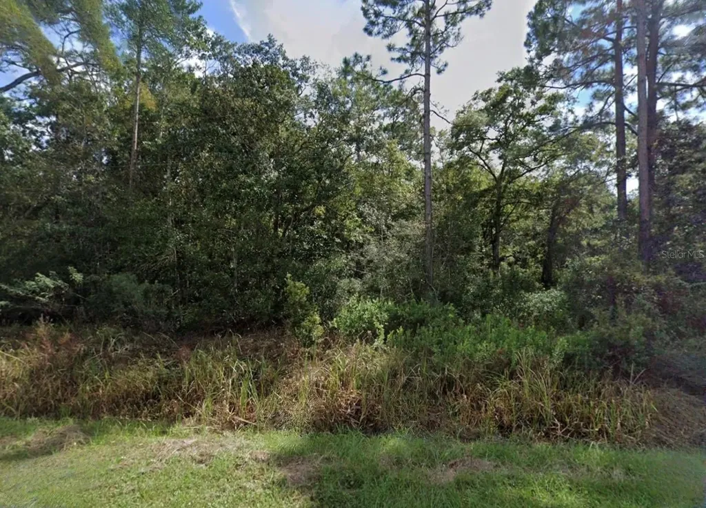 Bottoms Road Panacea FL 32346