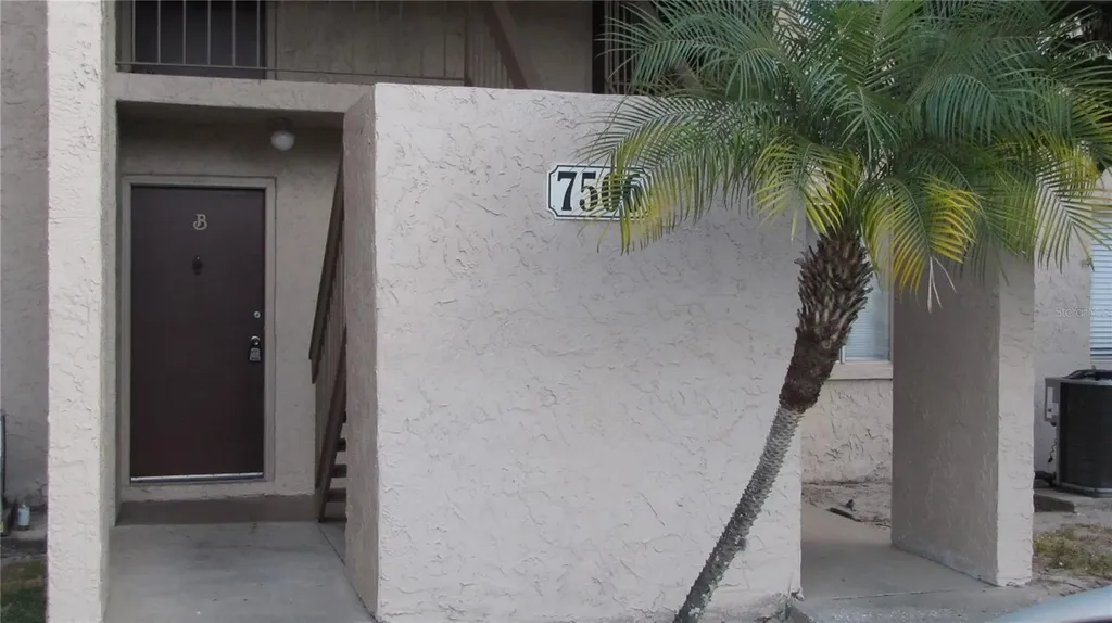 7506 Needle Leaf Place Tampa FL 33617