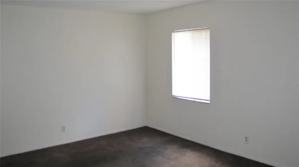 7506 Needle Leaf Place Tampa FL 33617