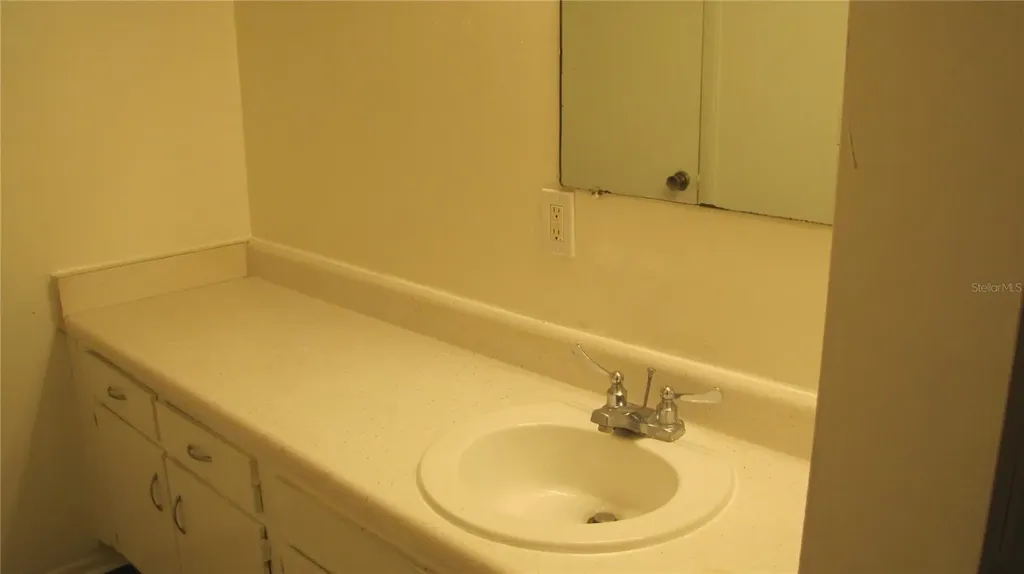 7506 Needle Leaf Place Tampa FL 33617