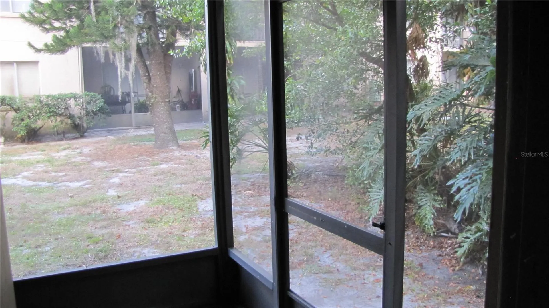 7506 Needle Leaf Place Tampa FL 33617