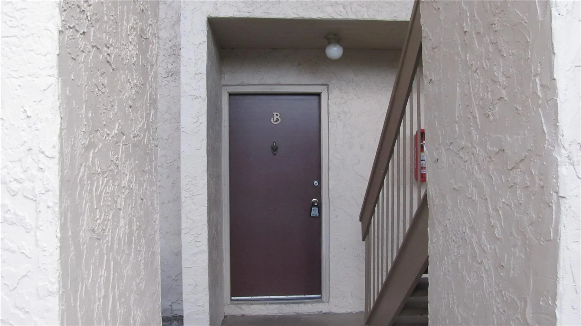 7506 Needle Leaf Place Tampa FL 33617