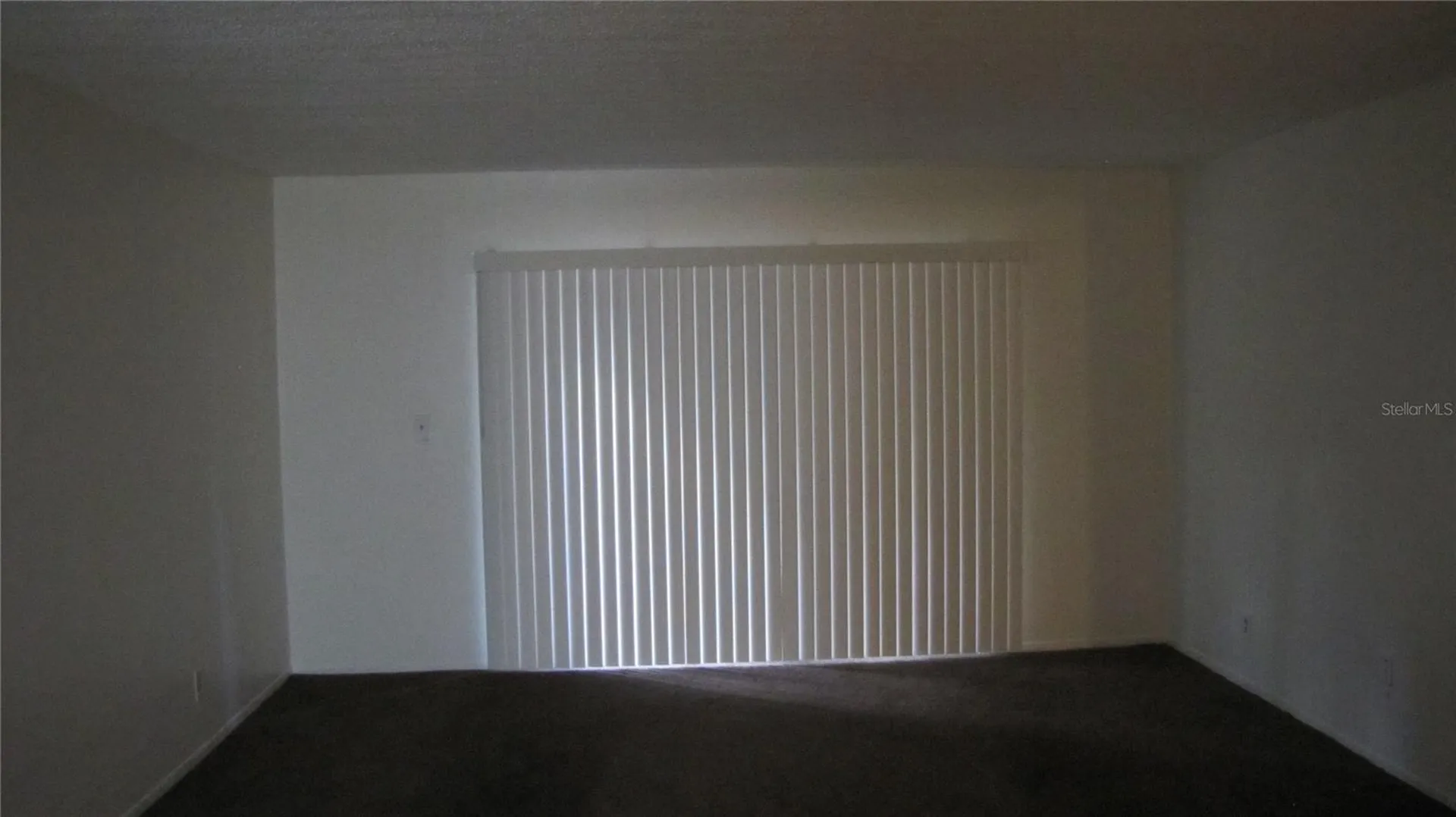7506 Needle Leaf Place Tampa FL 33617