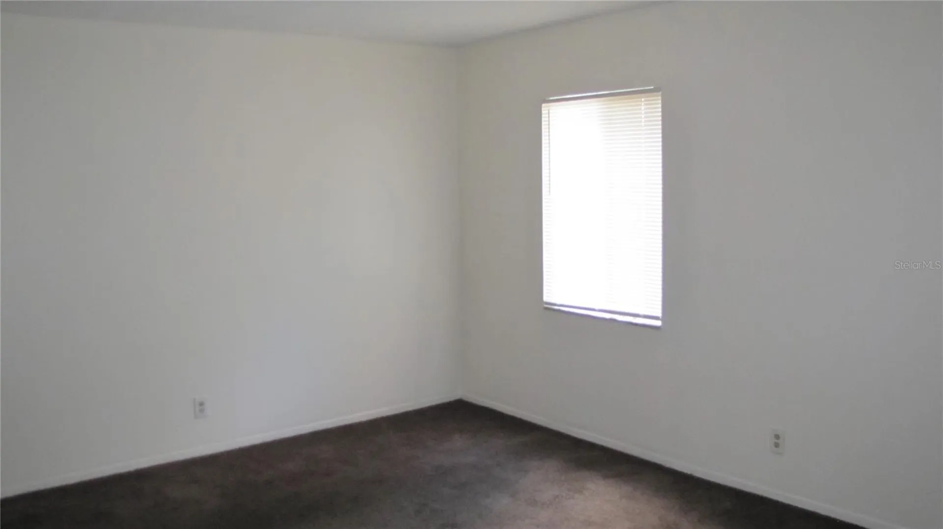 7506 Needle Leaf Place Tampa FL 33617