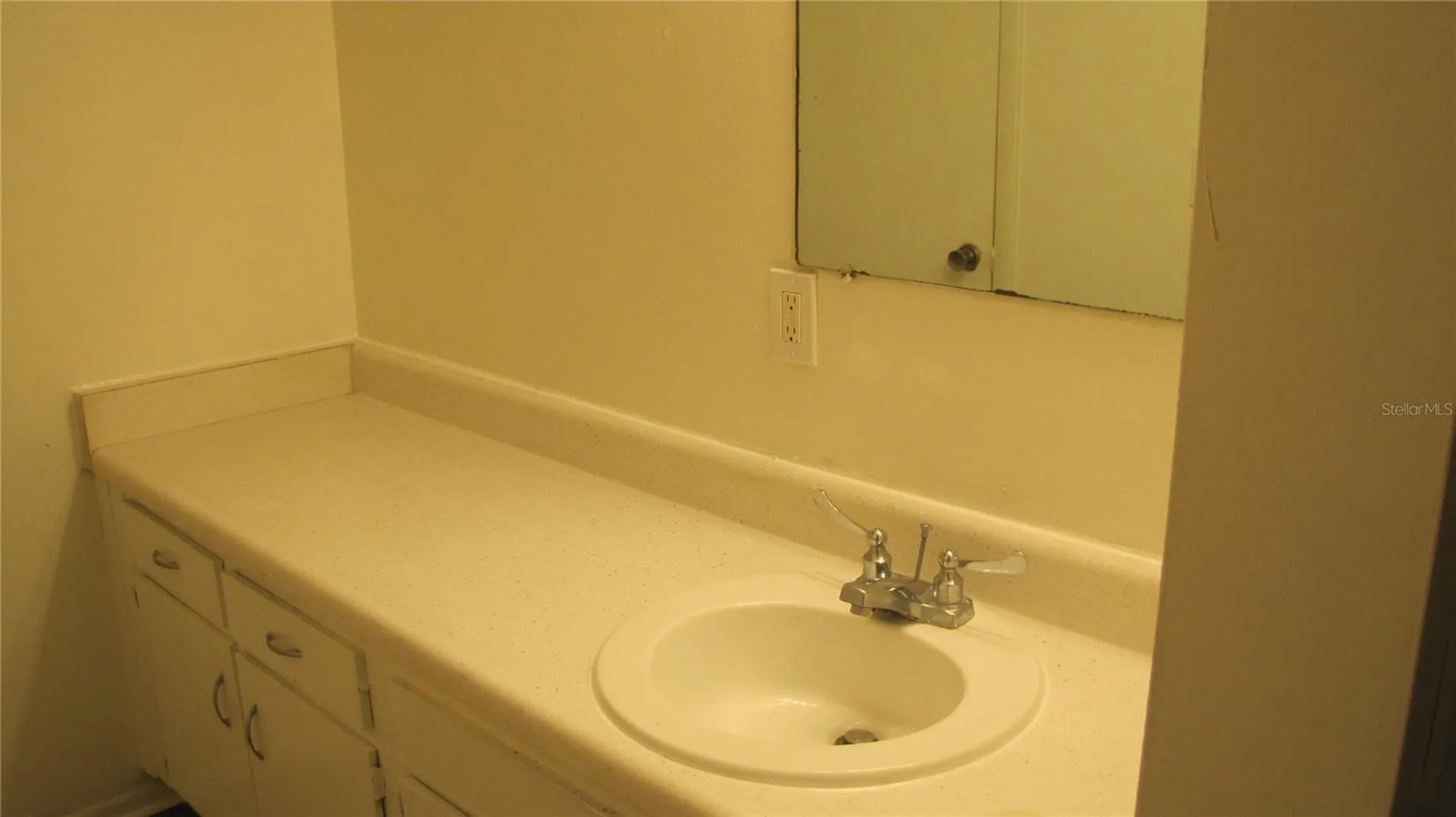 7506 Needle Leaf Place Tampa FL 33617