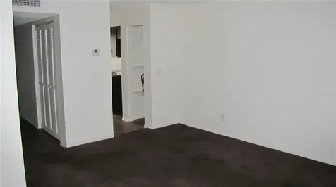 7506 Needle Leaf Place Tampa FL 33617