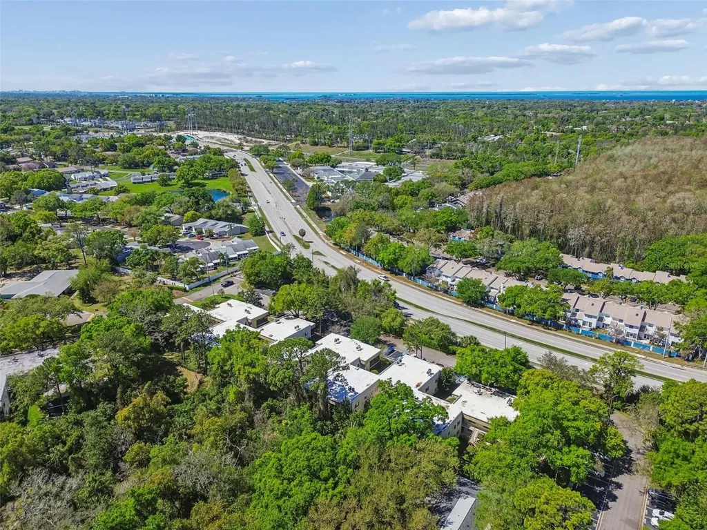 3300 Fox Chase Circle N Palm Harbor FL 34683