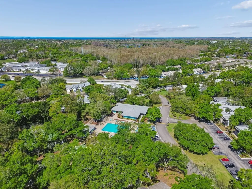 3300 Fox Chase Circle N Palm Harbor FL 34683