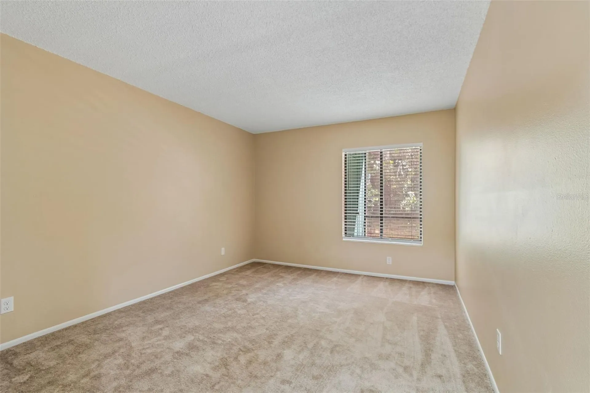3300 Fox Chase Circle N Palm Harbor FL 34683