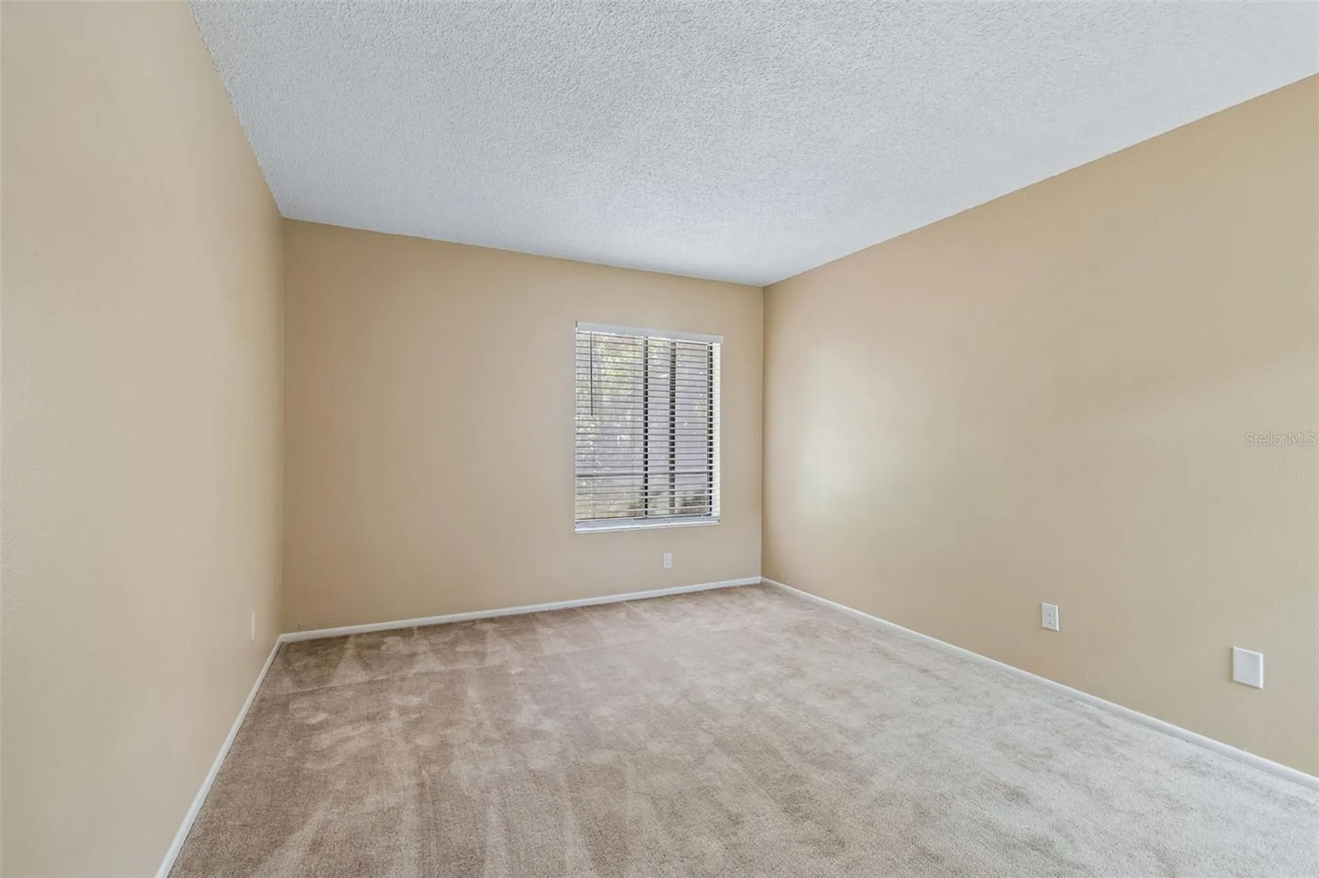 3300 Fox Chase Circle N Palm Harbor FL 34683
