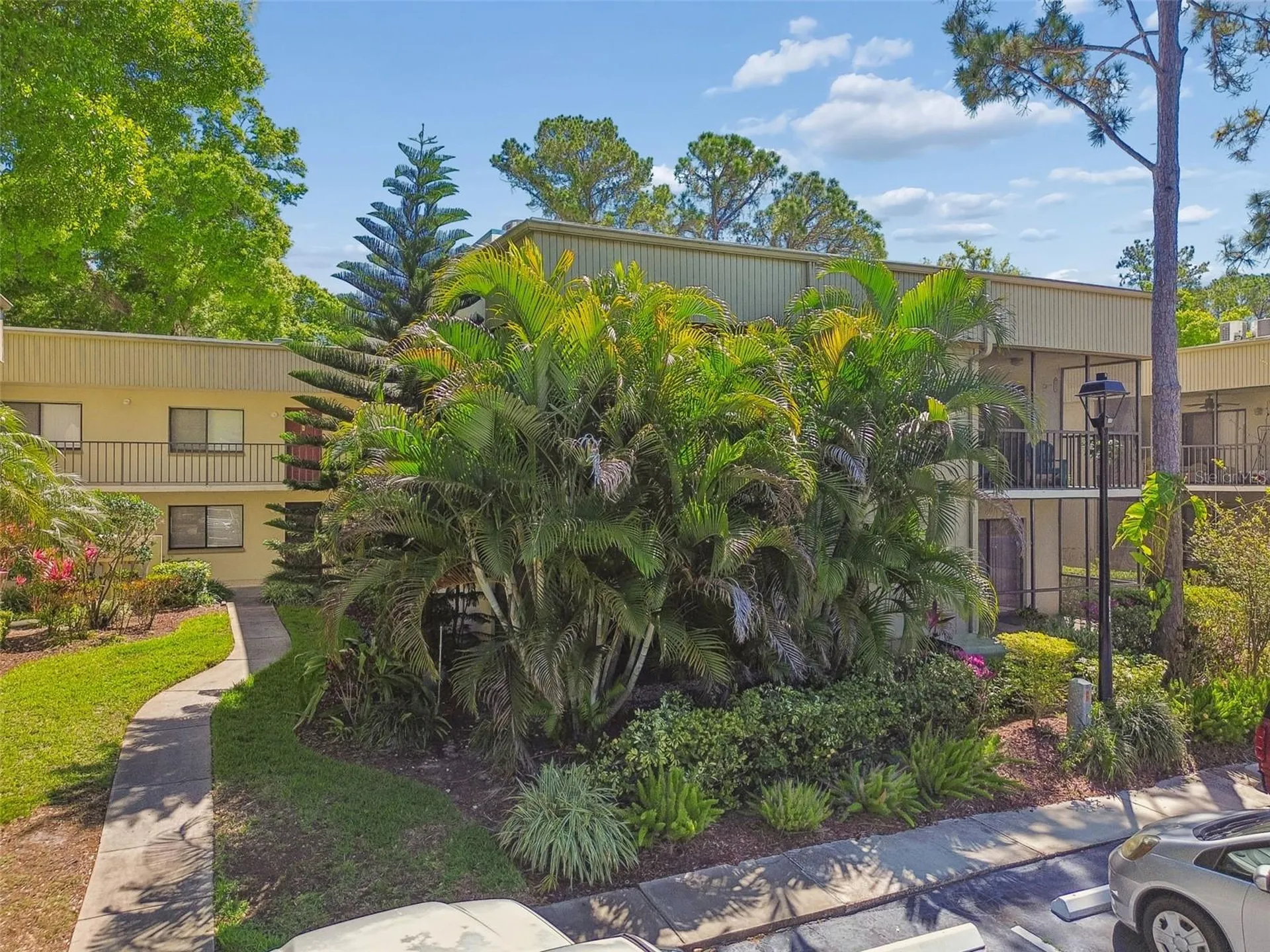 3300 Fox Chase Circle N Palm Harbor FL 34683