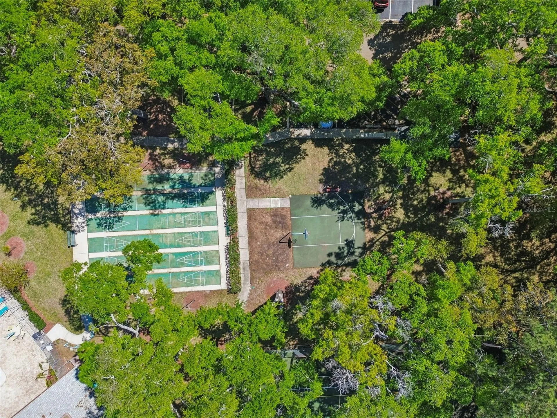 3300 Fox Chase Circle N Palm Harbor FL 34683