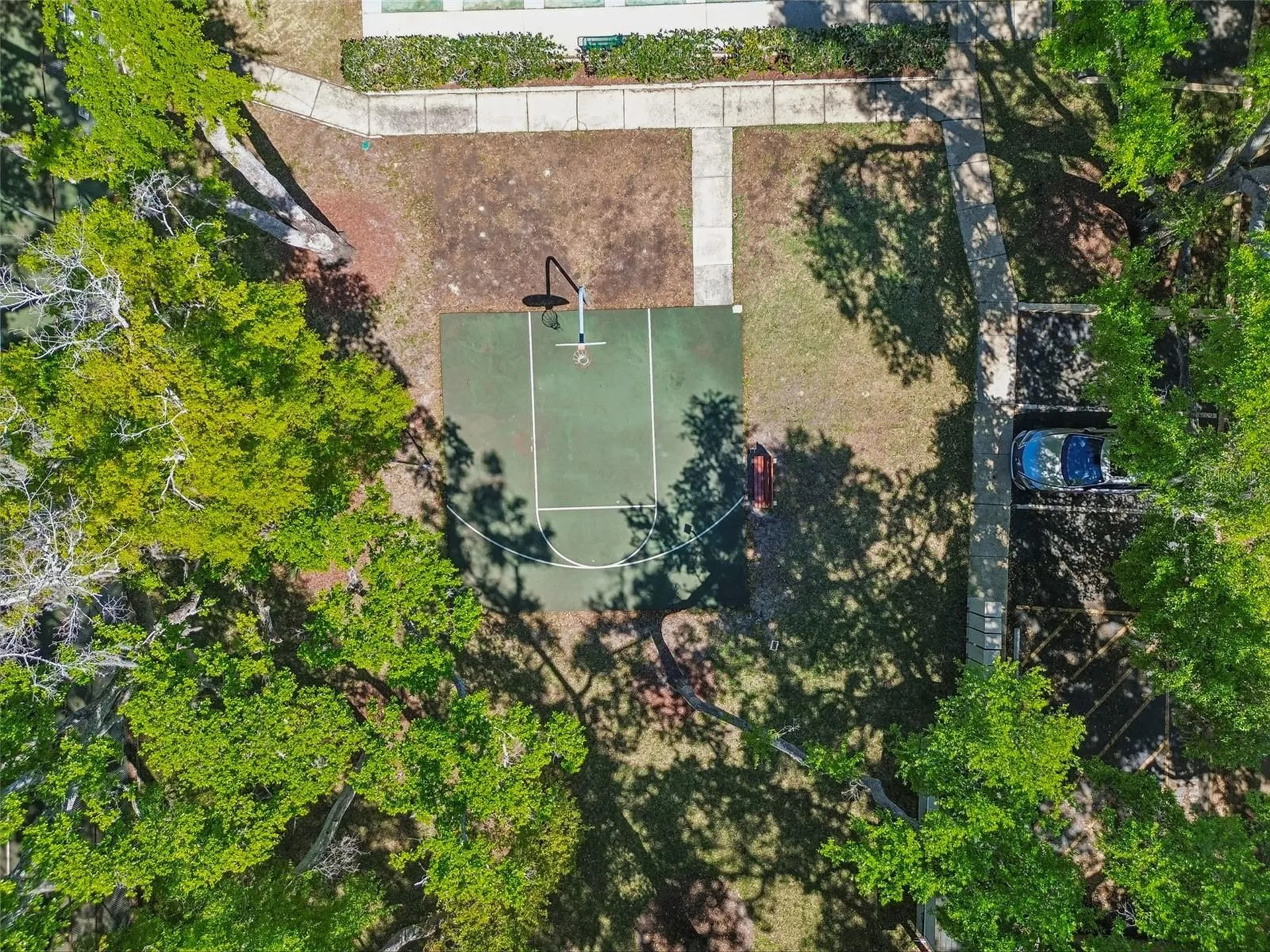 3300 Fox Chase Circle N Palm Harbor FL 34683