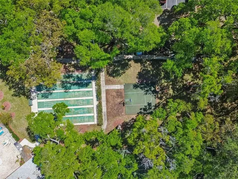 3300 Fox Chase Circle N Palm Harbor FL 34683
