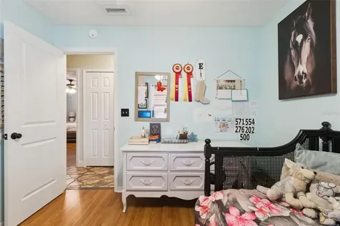 27627 Lois Drive Tavares FL 32778