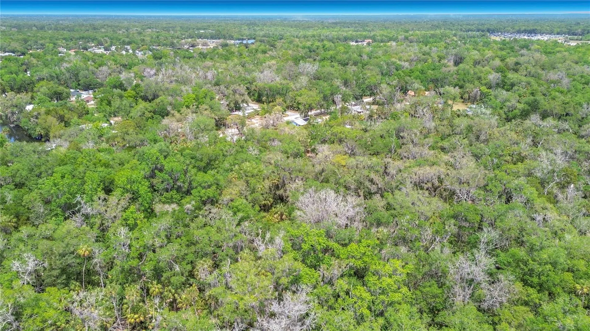 1670 NW 19th Street Crystal River FL 34428