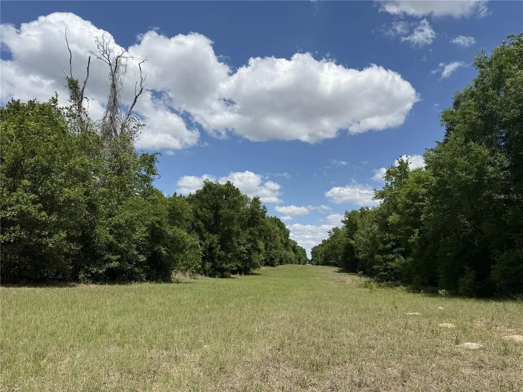 0 NW 140th Street Chiefland FL 32626