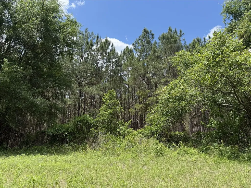 0 NW 140th Street Chiefland FL 32626