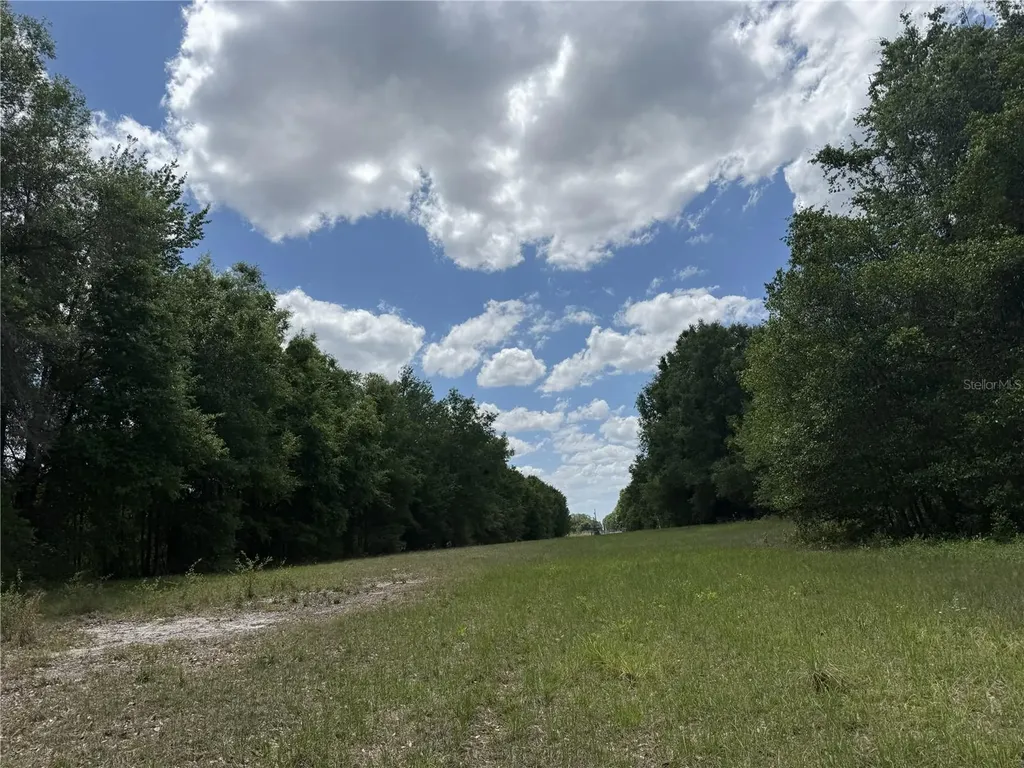 0 NW 140th Street Chiefland FL 32626