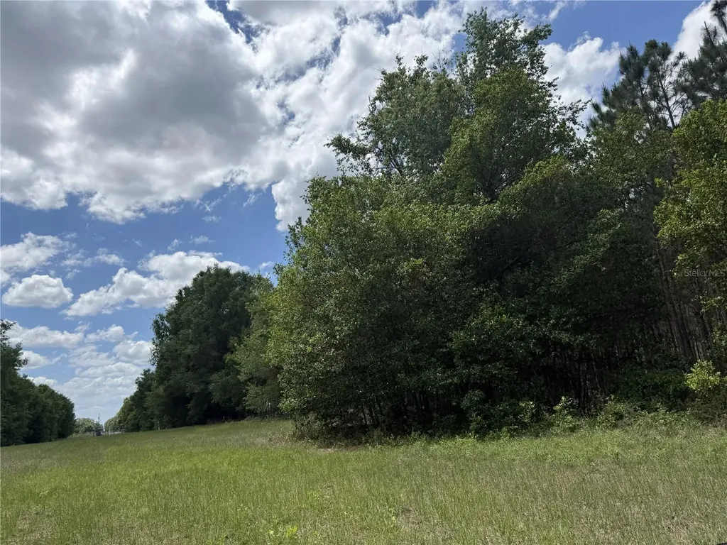 0 NW 140th Street Chiefland FL 32626