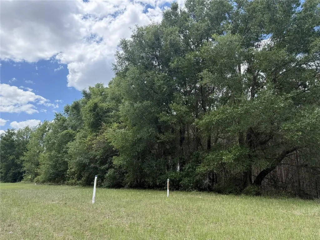 0 NW 140th Street Chiefland FL 32626