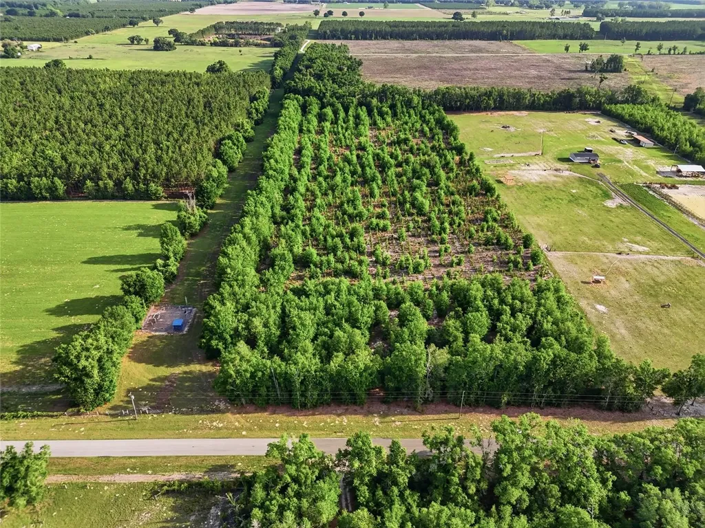 0 NW 140th Street Chiefland FL 32626