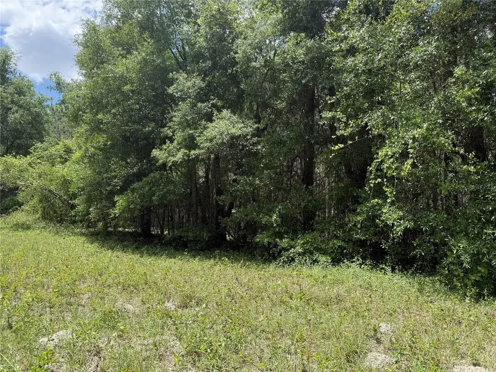 0 NW 140th Street Chiefland FL 32626